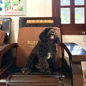 Blue Clouds Homestay Hoi An